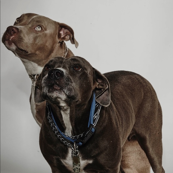 Hi!! I’m Priscilla! - Picture 8 of 8